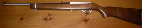Ruger 10/22