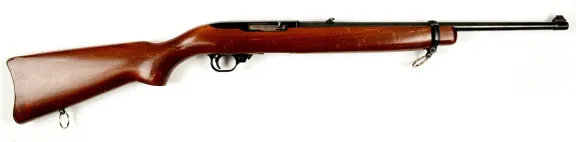 Another view of Ruger 10/22