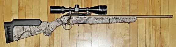 Ruger American Rimfire
