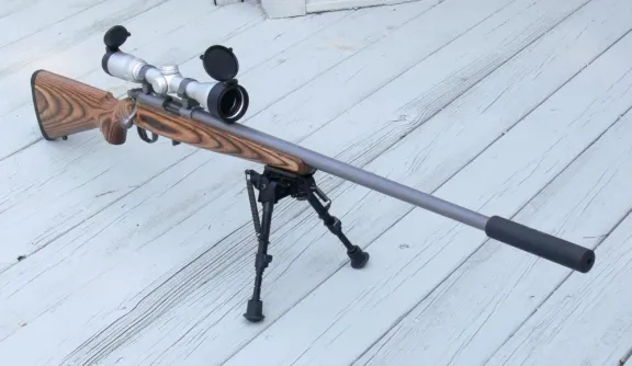 Ruger 77/22