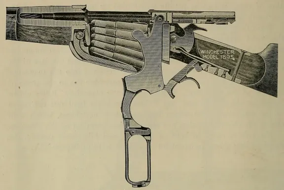 Another view of Winchester Model 1895