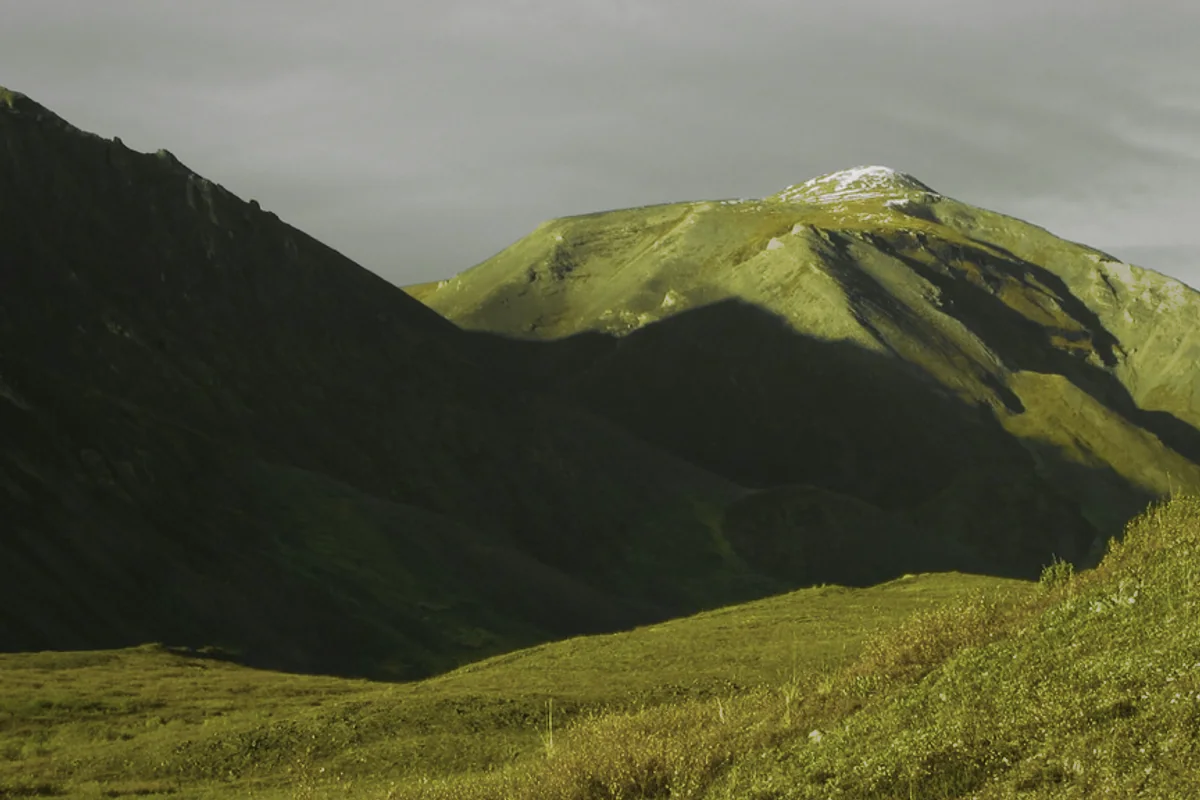 Open tundra under a low winter sun